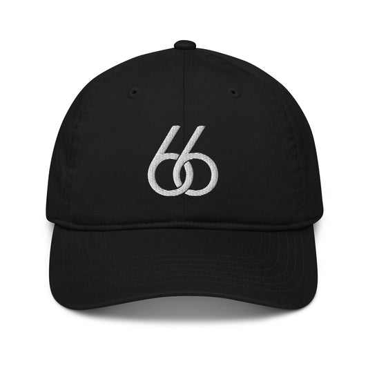 Embroidered “White 66 Logo” L X V I Dad/Baseball Hat (organic)