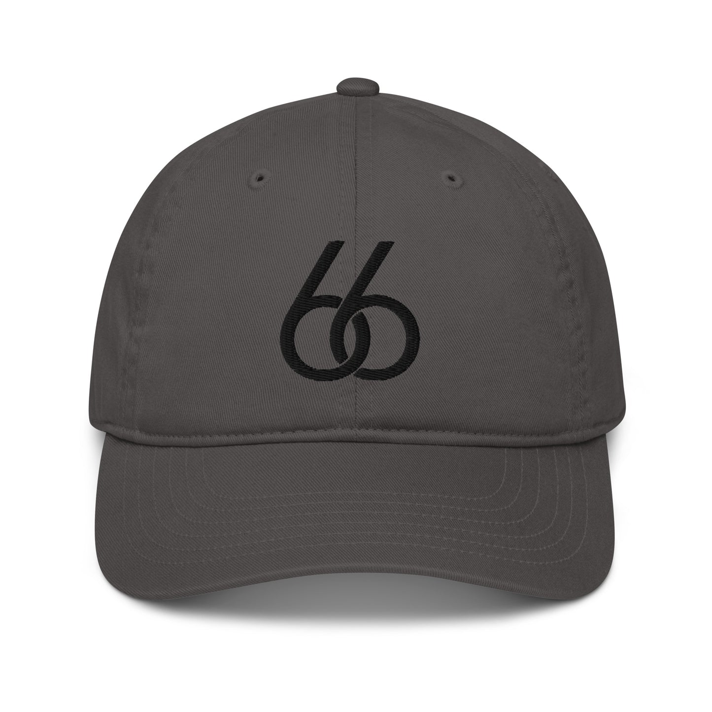 Embroidered “Black 66 Logo” L X V I Dad/Baseball Hat (organic)