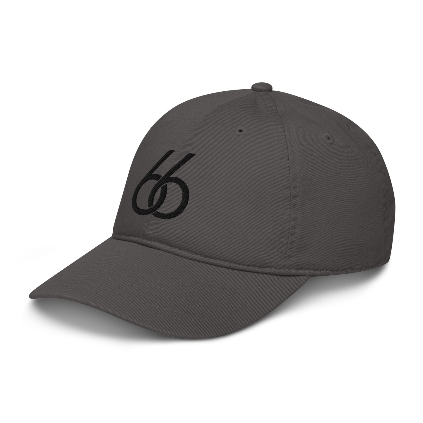 Embroidered “Black 66 Logo” L X V I Dad/Baseball Hat (organic)