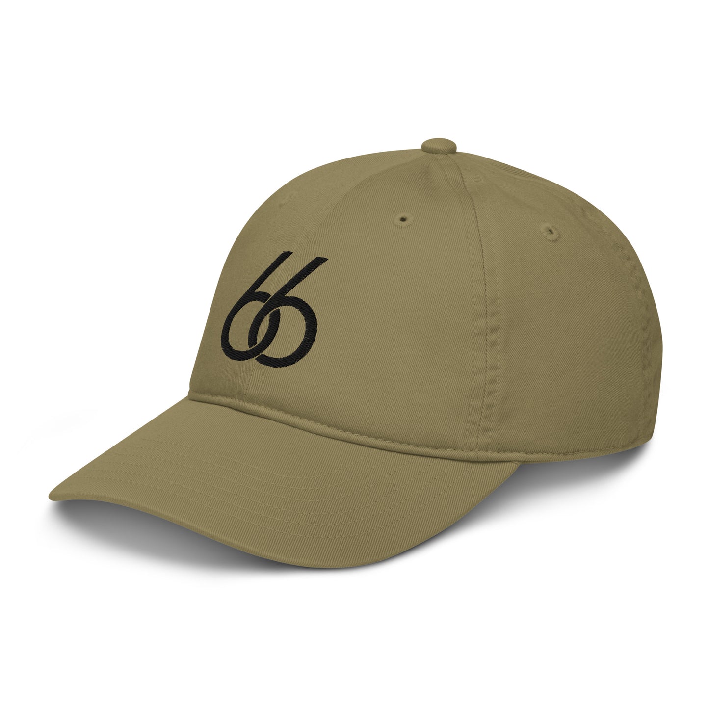 Embroidered “Black 66 Logo” L X V I Dad/Baseball Hat (organic)