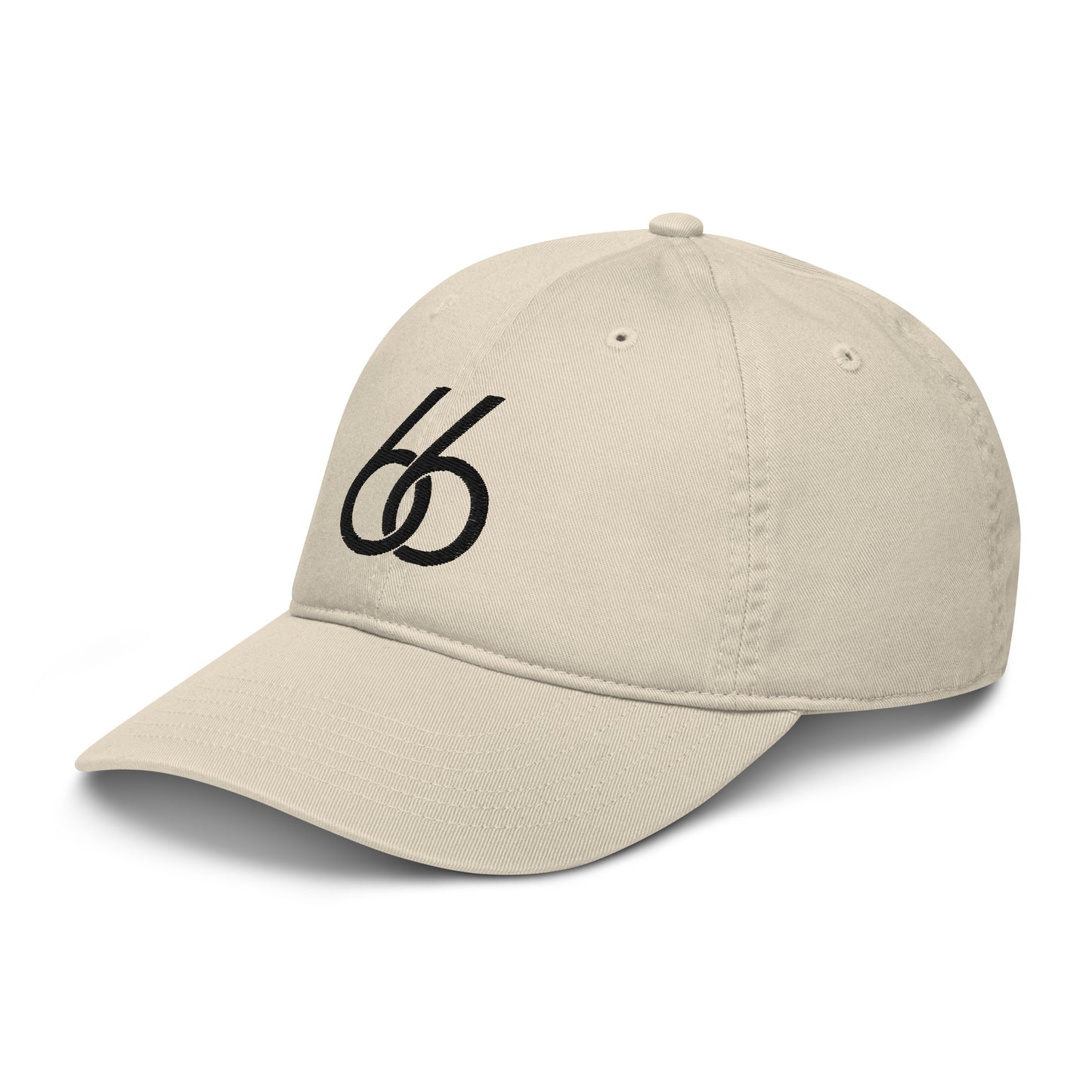 Embroidered “Black 66 Logo” L X V I Dad/Baseball Hat (organic)