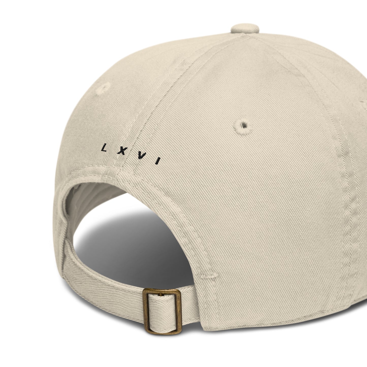 Embroidered “Black 66 Logo” L X V I Dad/Baseball Hat (organic)