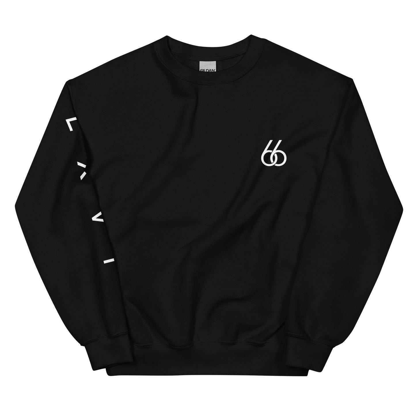 L X V I Crew Neck Sweatshirt